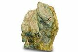Free-Standing, Gary Green Jasper (Larsonite) Bog Wood - Oregon #334727-2
